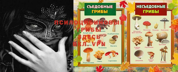 винт Алексеевка