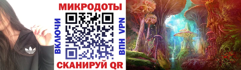 магазин  наркотиков  Гаджиево  Псилоцибиновые грибы Cubensis 