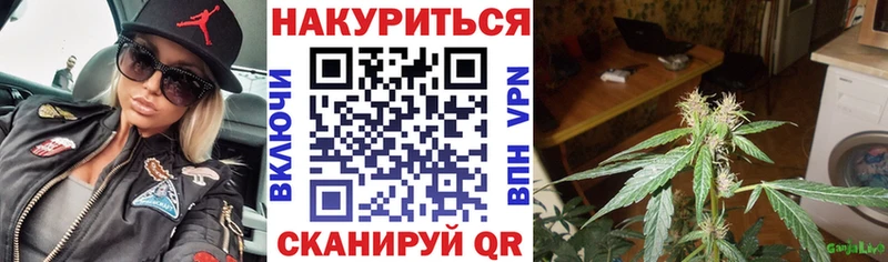МАРИХУАНА сатива  купить наркотик  Гаджиево 