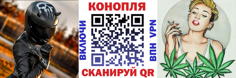 Шишки марихуана OG Kush Гаджиево